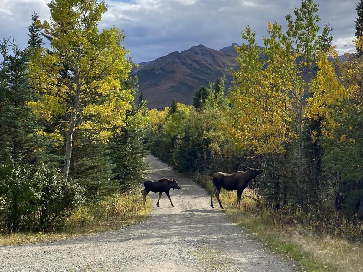 Denali Park View Family Log Cabin Bagian luar foto