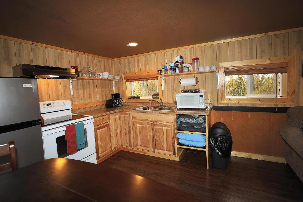 Denali Park View Family Log Cabin Bagian luar foto